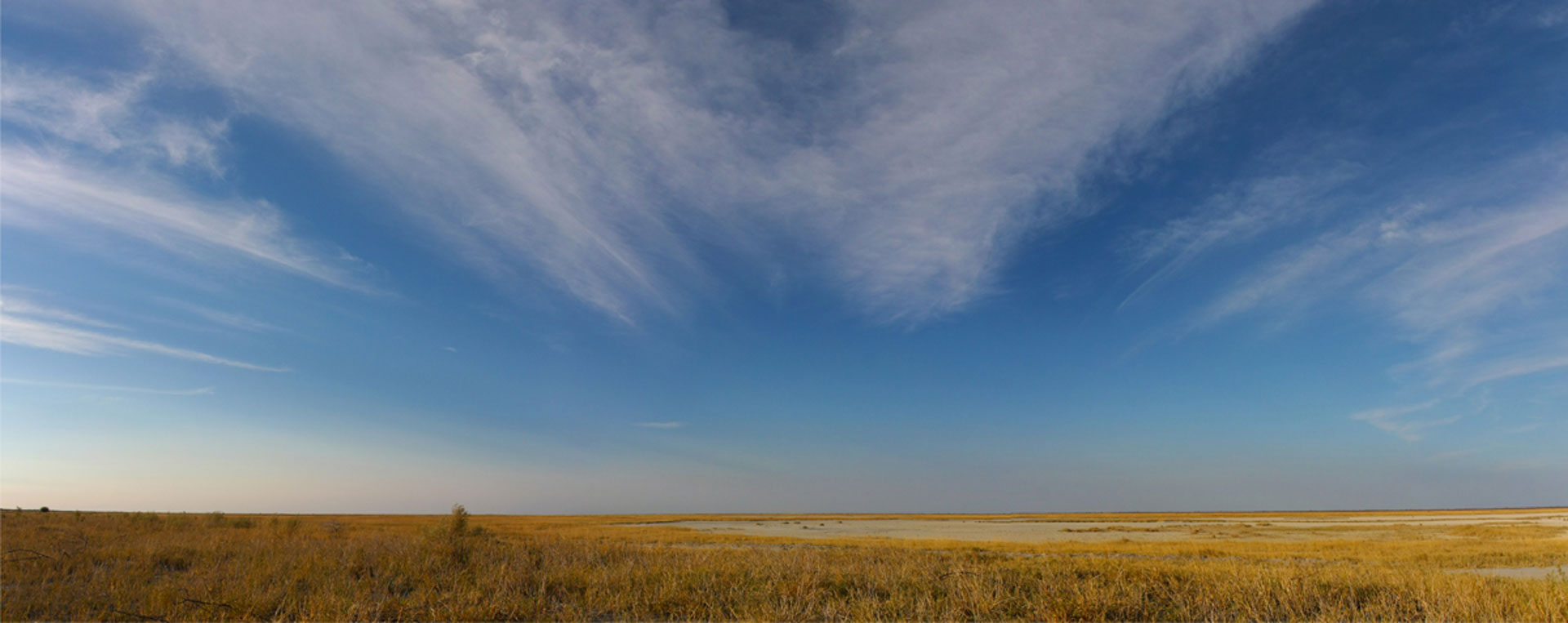 Panorama---Botswana--NPN06--homepage
